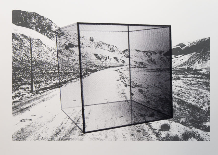 Collected Collision_2018 - landscape_cage_LR