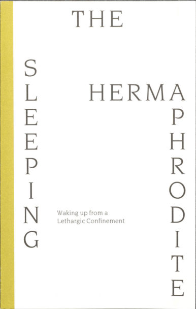 _DSC8429-4 copia copia