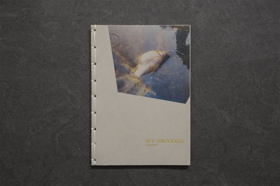 lunascema_31-1 copia