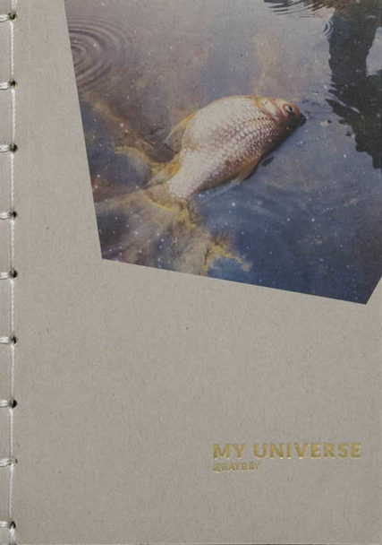 lunascema_31-1 copia copia