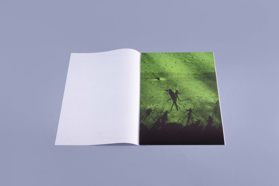 20210705_MICHELE-SIBILONI1780