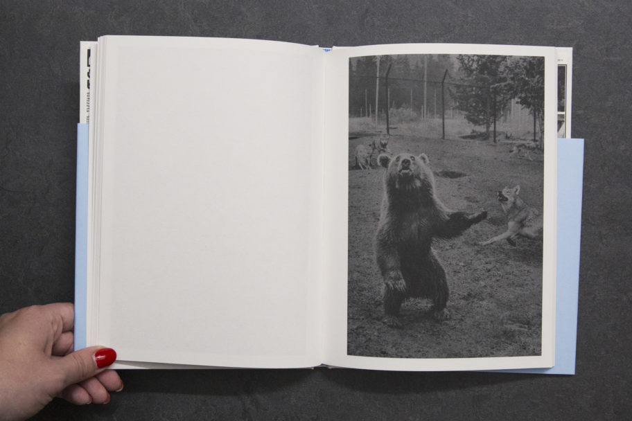 FrancescoMerlini_TheFlood_5