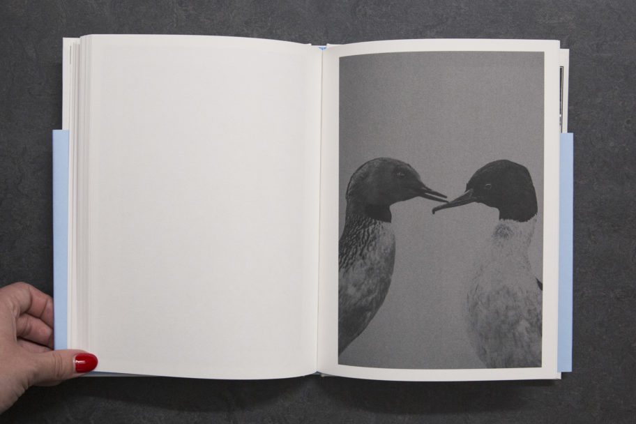 FrancescoMerlini_TheFlood_7