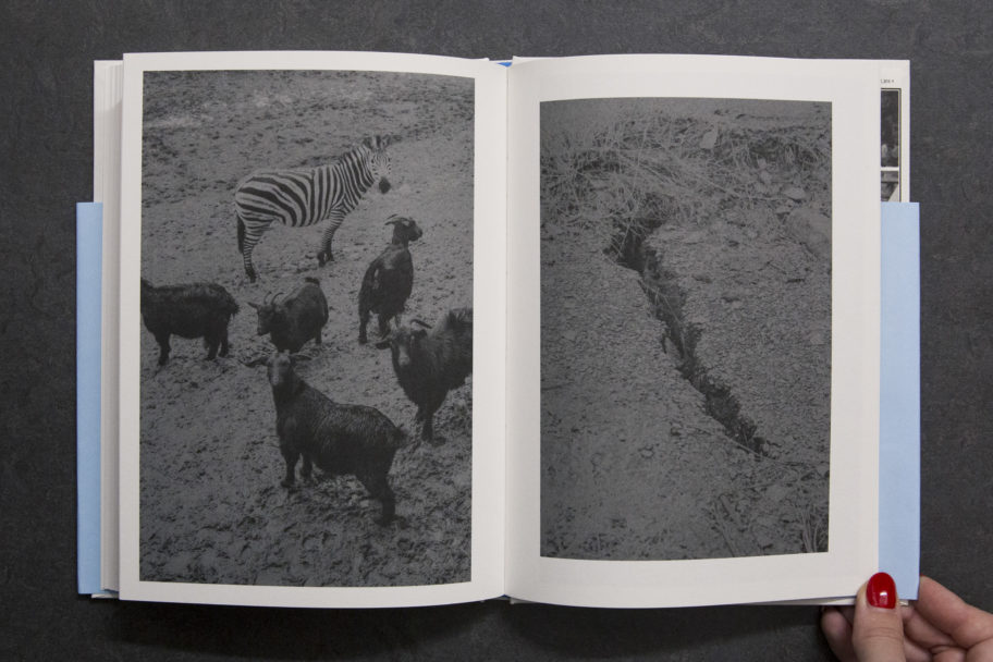 FrancescoMerlini_TheFlood_8