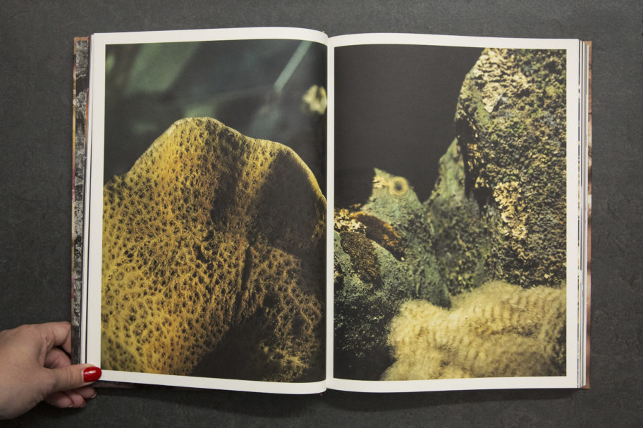 JanaHartmann_MasteringTheElements_3