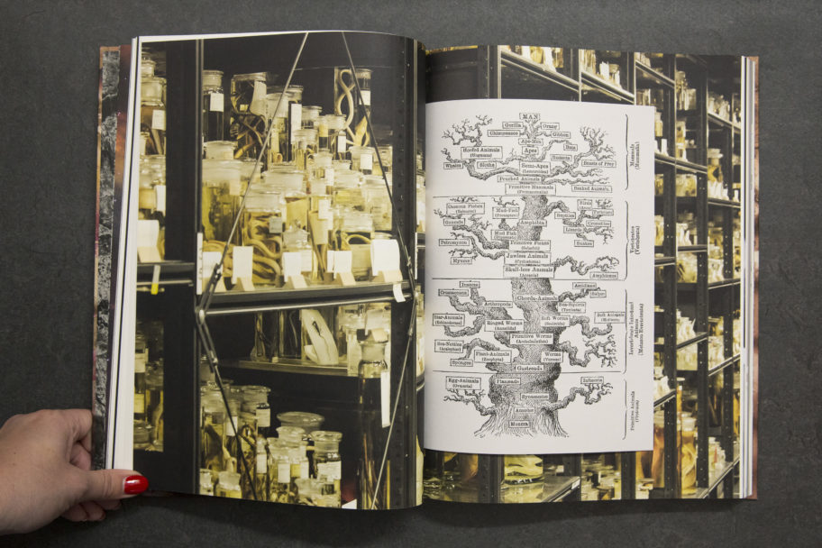 JanaHartmann_MasteringTheElements_4