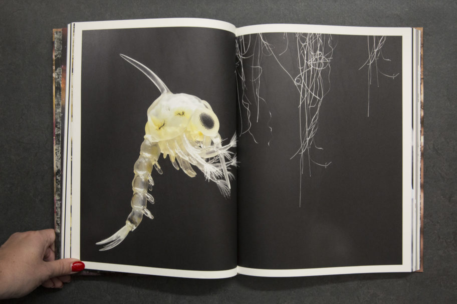 JanaHartmann_MasteringTheElements_5