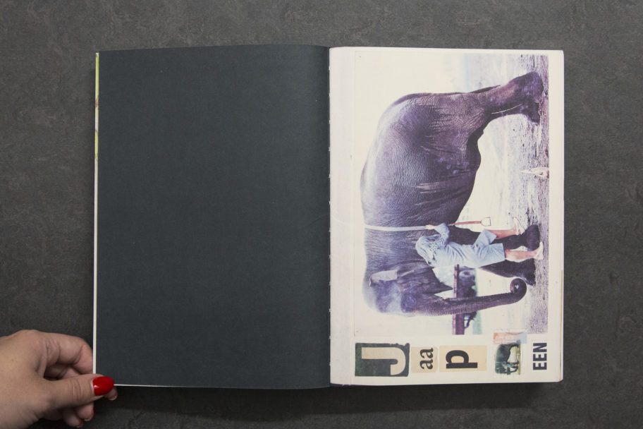 LousMartens_AnimalBooksForJaap_3