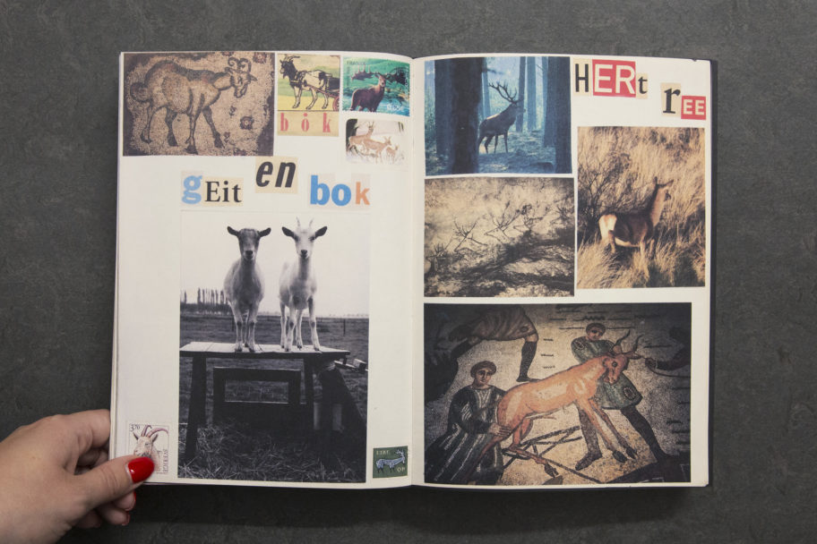 LousMartens_AnimalBooksForJaap_6