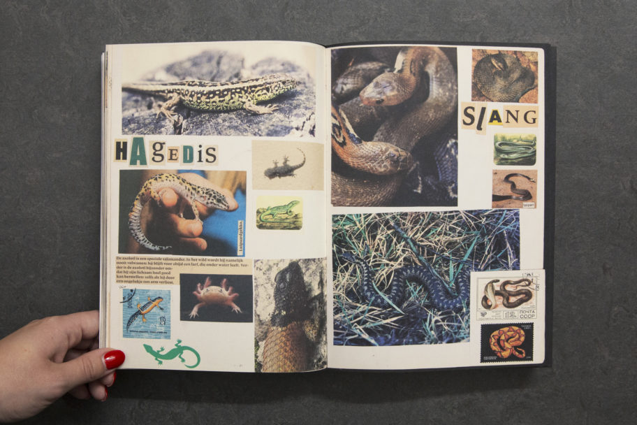 LousMartens_AnimalBooksForJaap_7