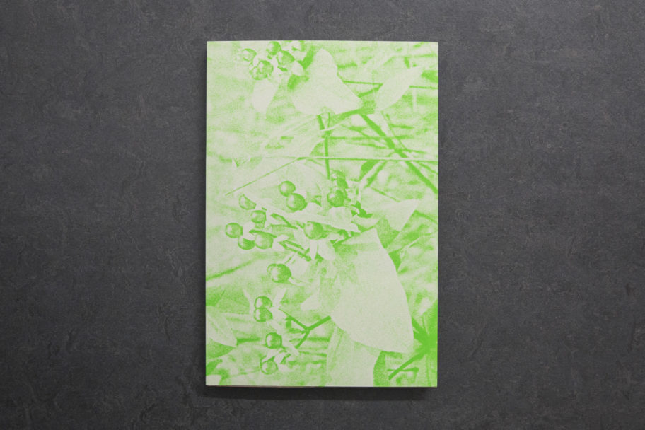 LukeLe_WhatAreYouLookingFor