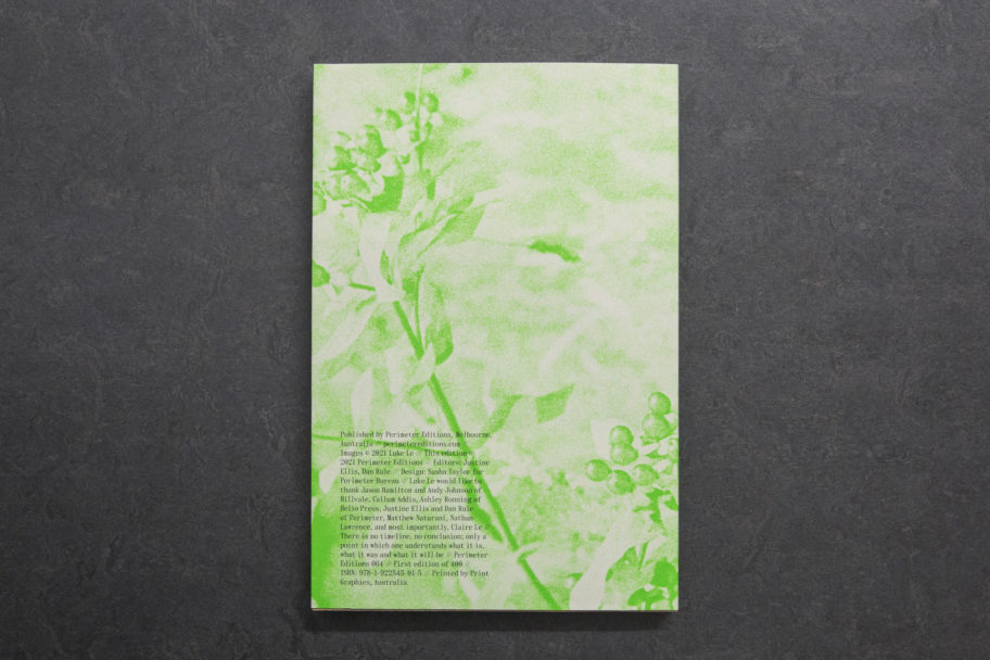 LukeLe_WhatAreYouLookingFor_1