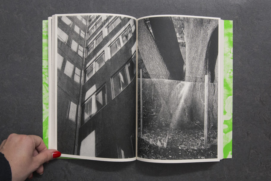 LukeLe_WhatAreYouLookingFor_5