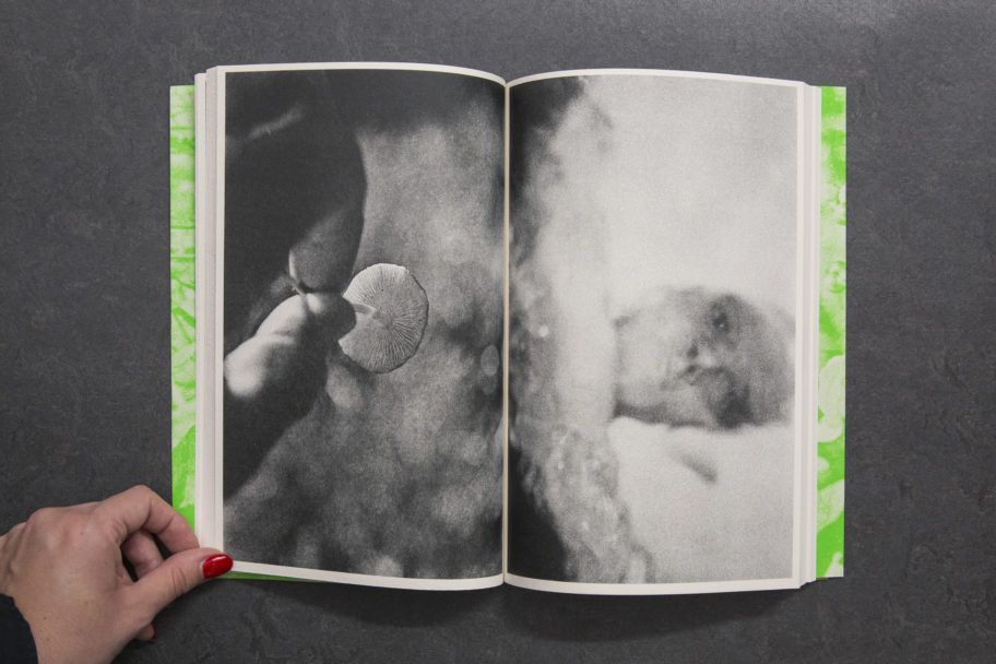 LukeLe_WhatAreYouLookingFor_6