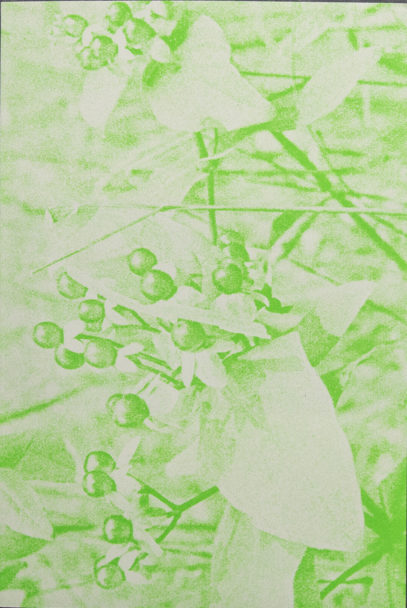 LukeLe_WhatAreYouLookingFor_8