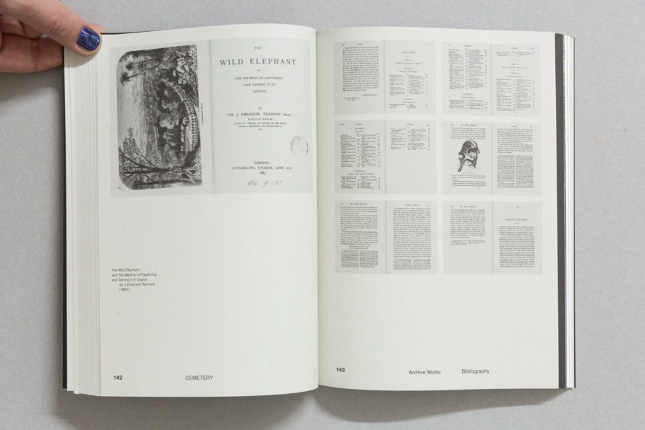 AnnaLunaAstolficemeterycemetery_4