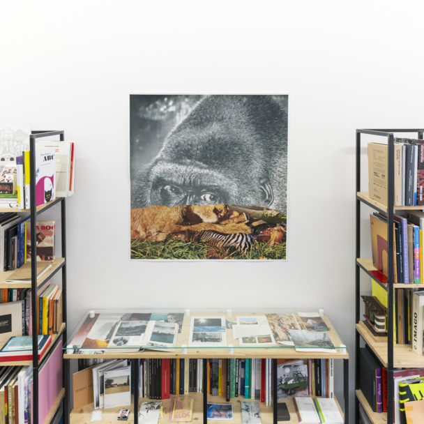 Daniele_exhibition_3