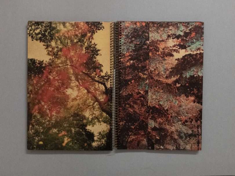 The first photobook was blue_12