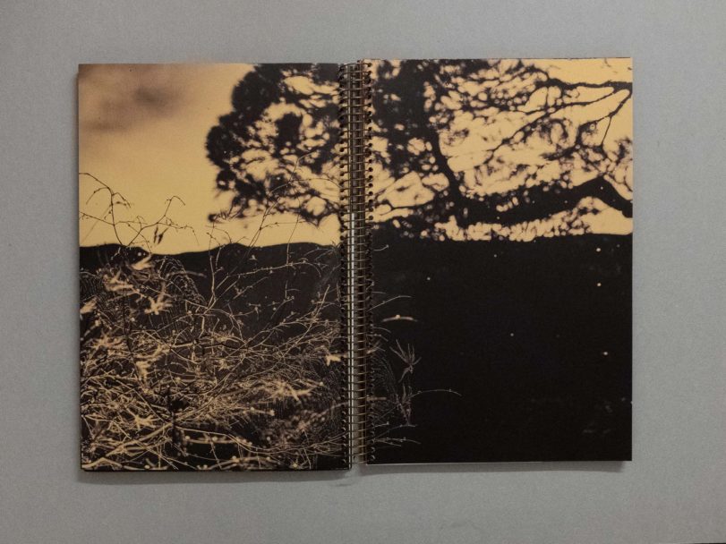 The first photobook was blue_13