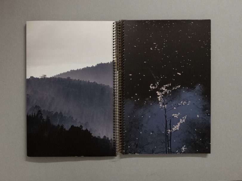 The first photobook was blue_14