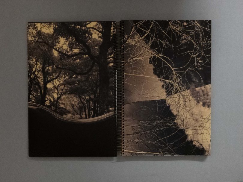 The first photobook was blue_18