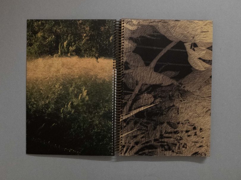 The first photobook was blue_21