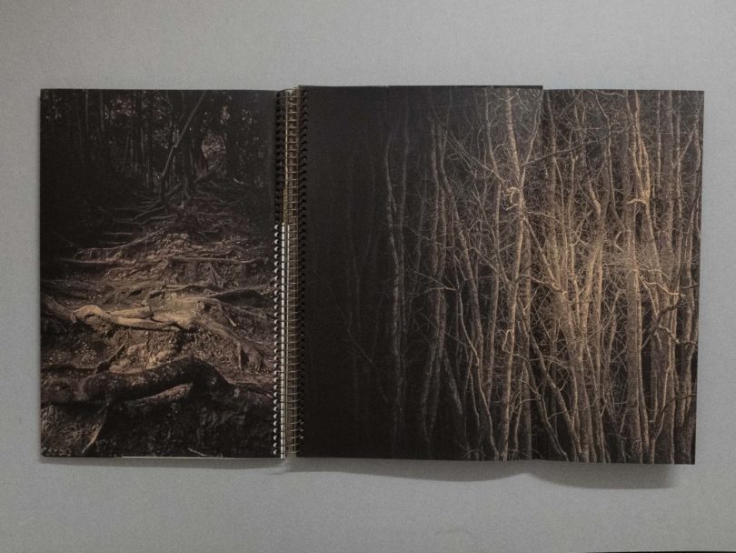 The first photobook was blue_6