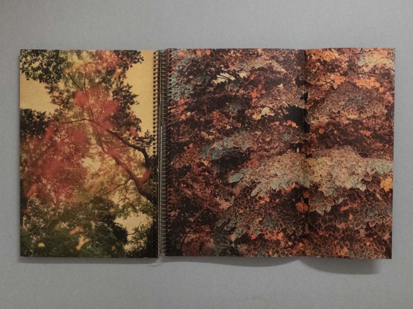 The first photobook was blue_8