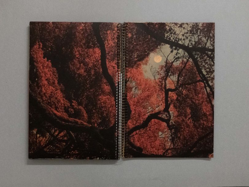 The first photobook was blue_9