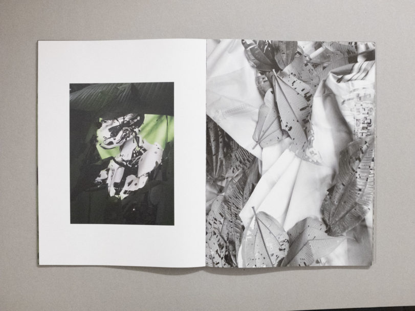 trans human nature_2