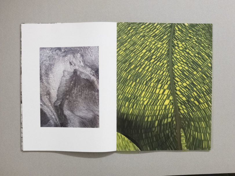 trans human nature_4