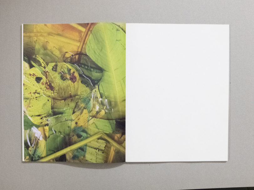 trans human nature_6