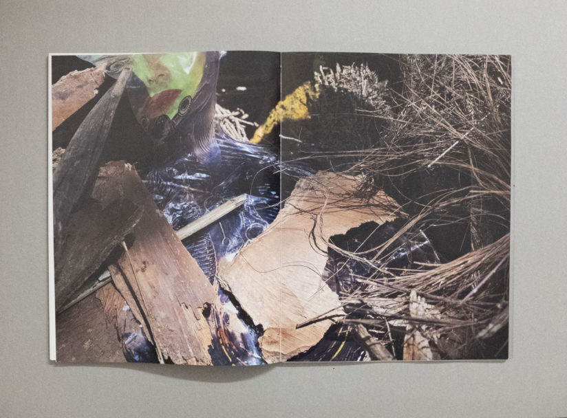 trans human nature_7