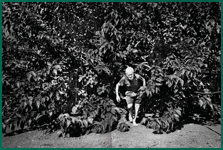 Fastidiosa-Caimi-Piccinni-10