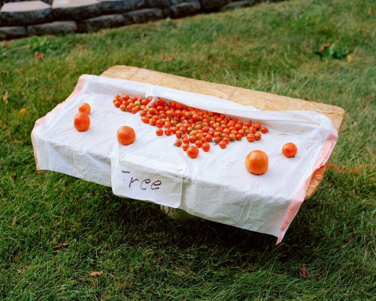 d91609d2-7a98-42d7-d897-7df448659672