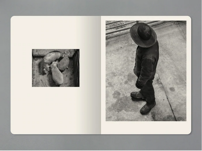 11c96992-8689-de23-73f3-54dc53d34397