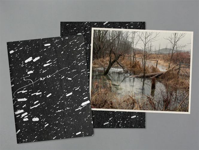 6b2a1b42-8d32-e6a8-785c-eb8eafe7b84c