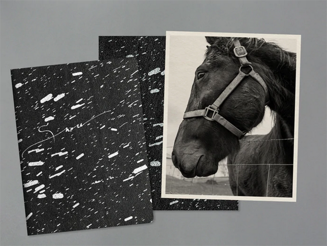 bad64fbf-1f0e-6453-84bb-11daeb22d9e1