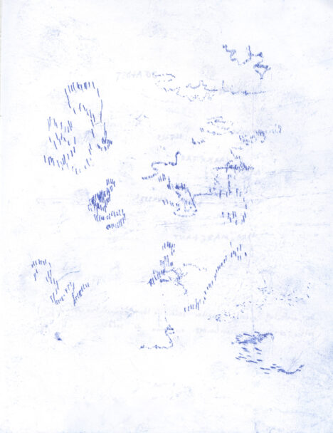 theokamaparadox_clara_1