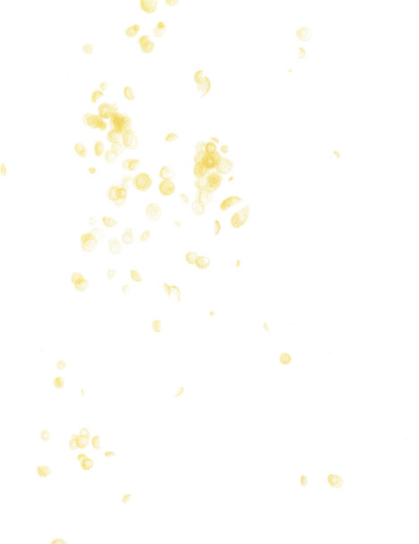 theokamaparadox_clara_3