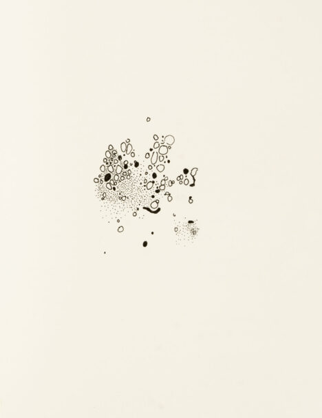 theokamaparadox_alta_03_br