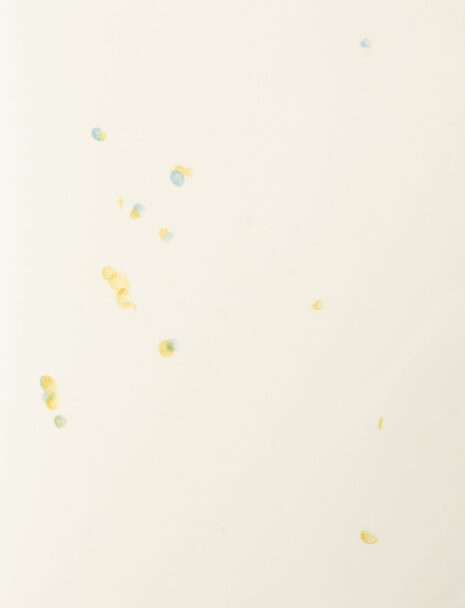 theokamaparadox_alta_07_br