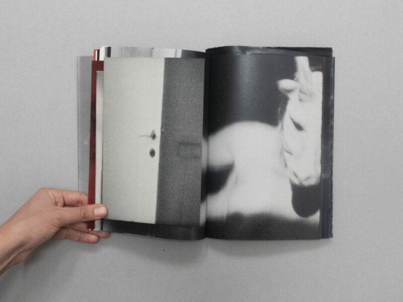 a4a24c03-9e89-ece0-5e69-ea11c648c855