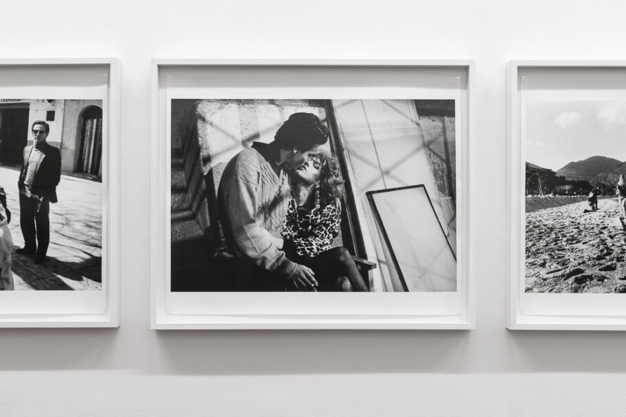 Michael-Trutta_Mostra-Sgroi_Bassa_03