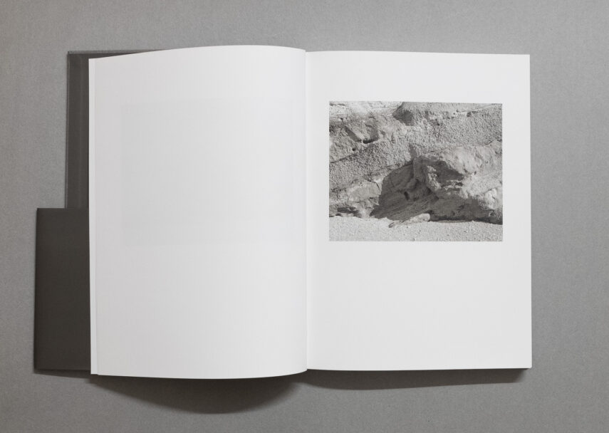 enrica_brogna_fotosintesi_1