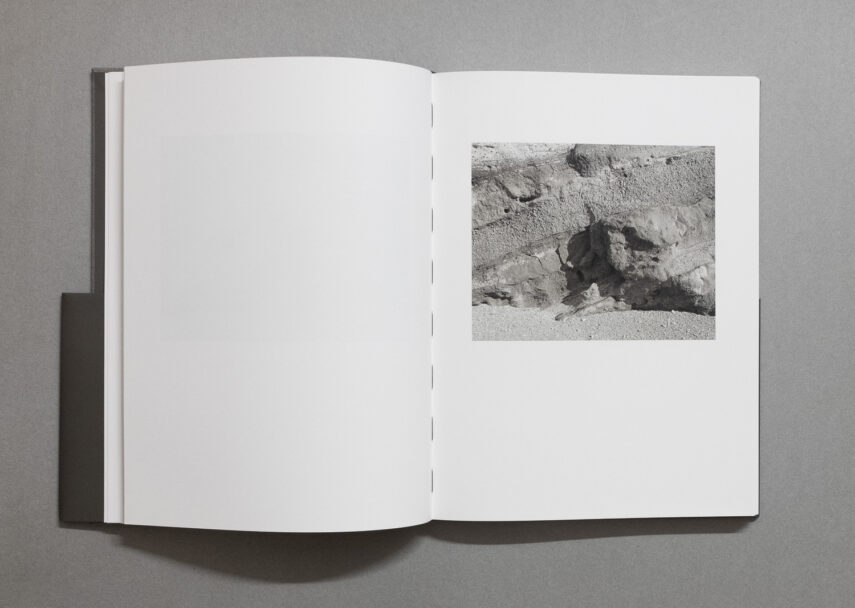 enrica_brogna_fotosintesi_2