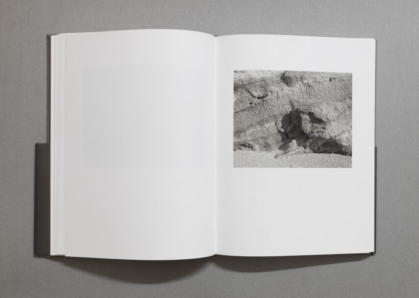 enrica_brogna_fotosintesi_4