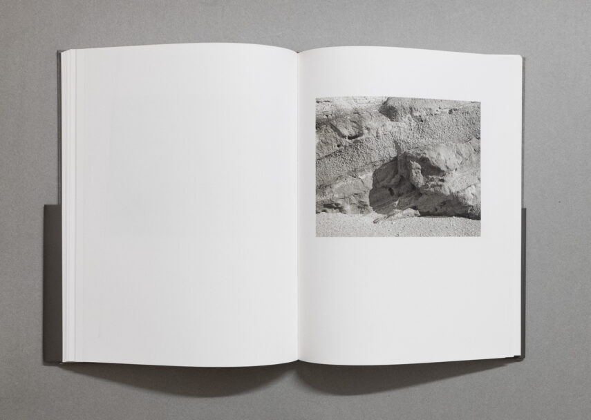 enrica_brogna_fotosintesi_5