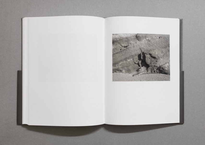 enrica_brogna_fotosintesi_7