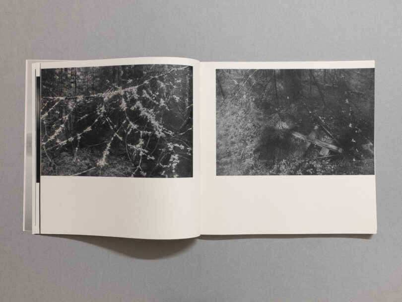 DSCF1200postnondeff6_6_1